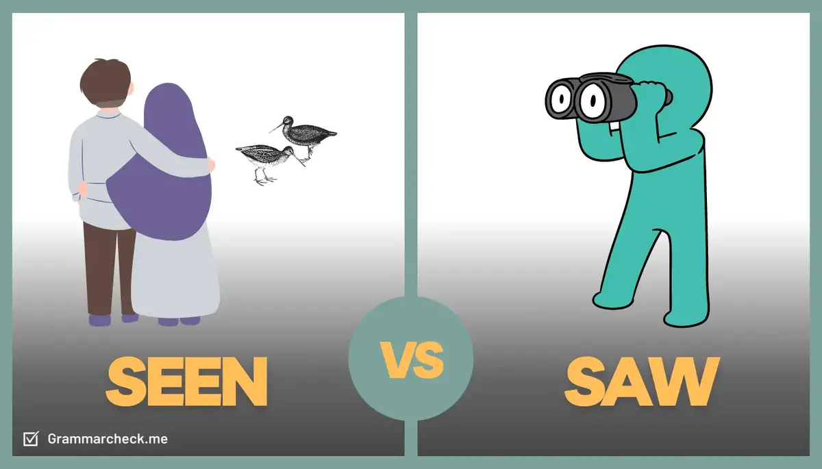 comparing definitions of seen and saw