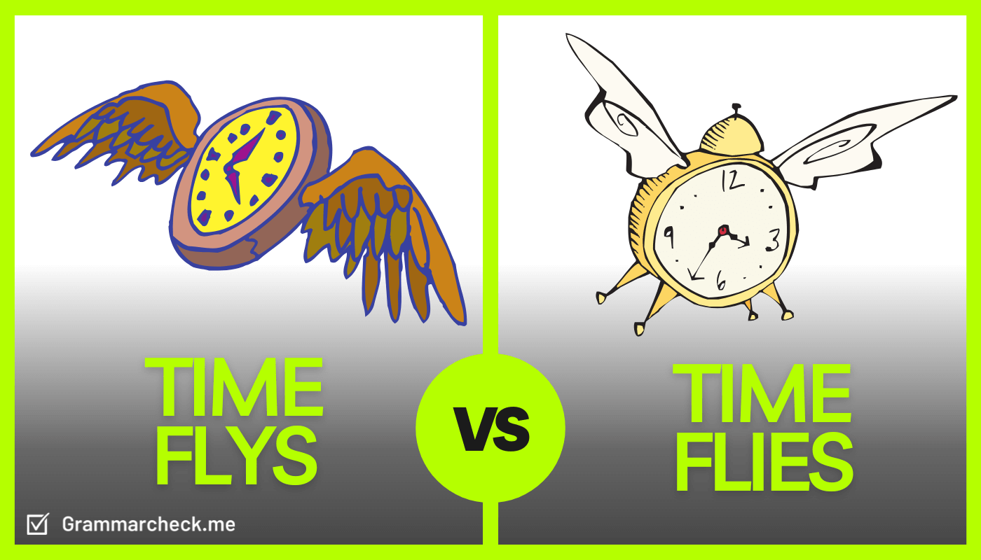 comparison of idioms time flies & time flys
