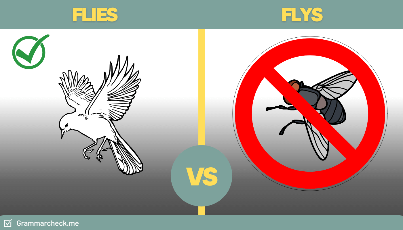 comparing the difference between the words flies vs flys